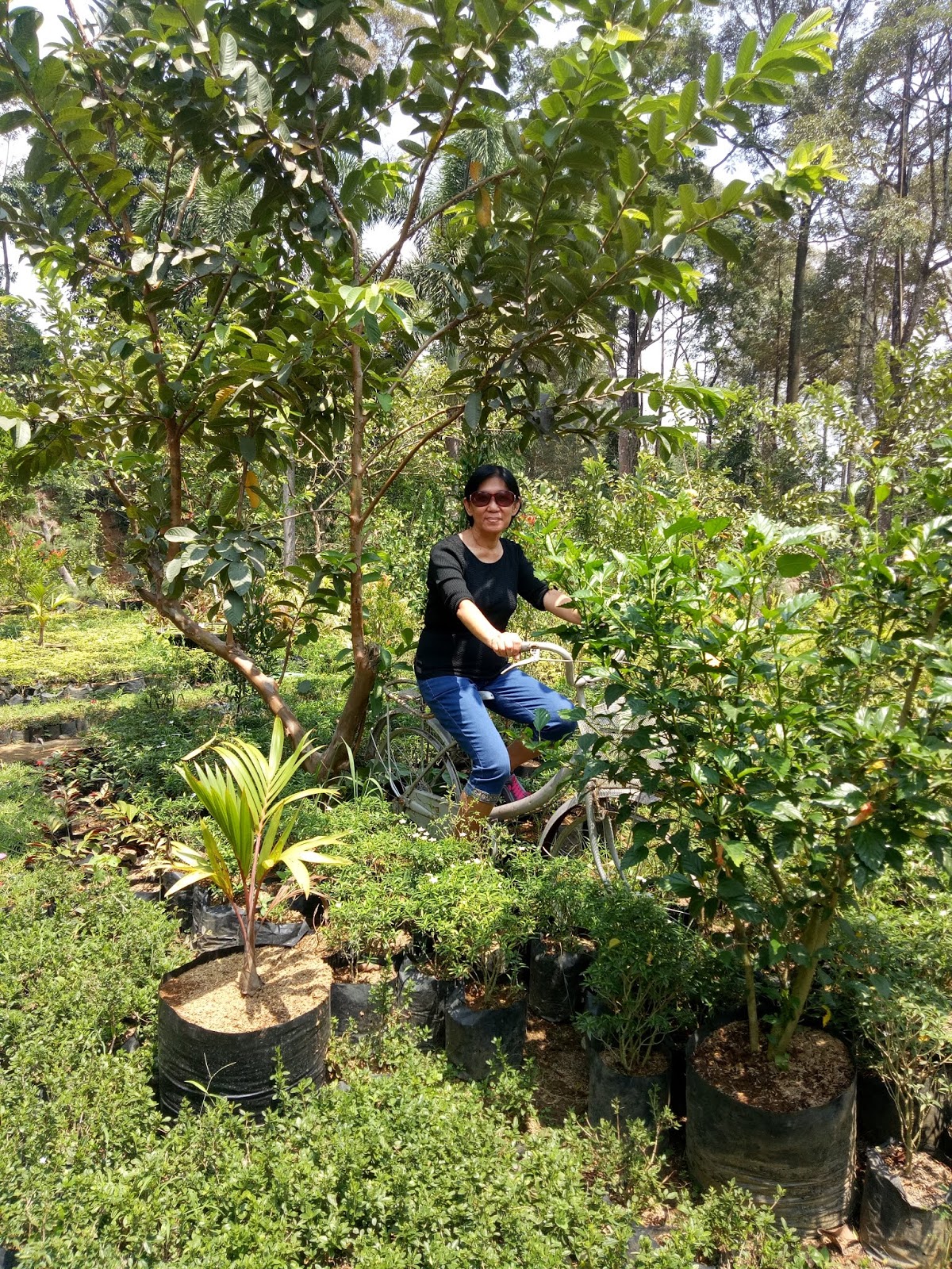 Berjalan-Jalan Di Sekitar Lingkungan Anda