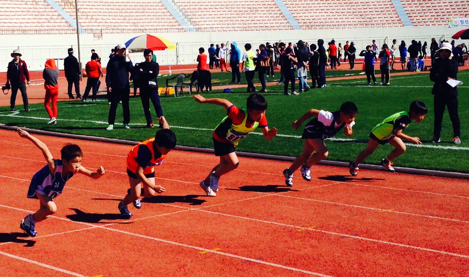 Chuiee's Adventures Track and Field Competition