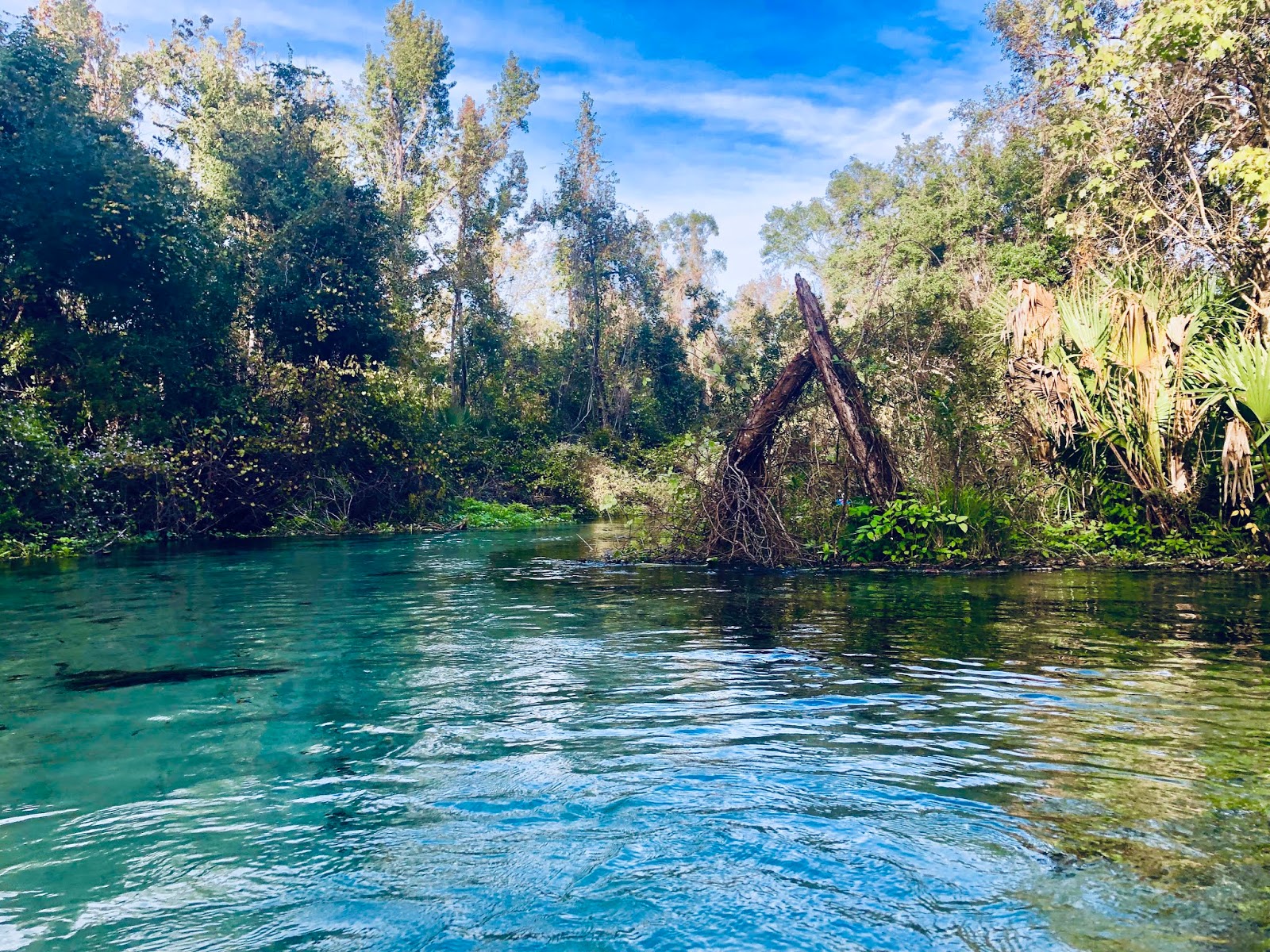 Love, Iris Clear Water Kayaking with Get Up and Go Kayaking