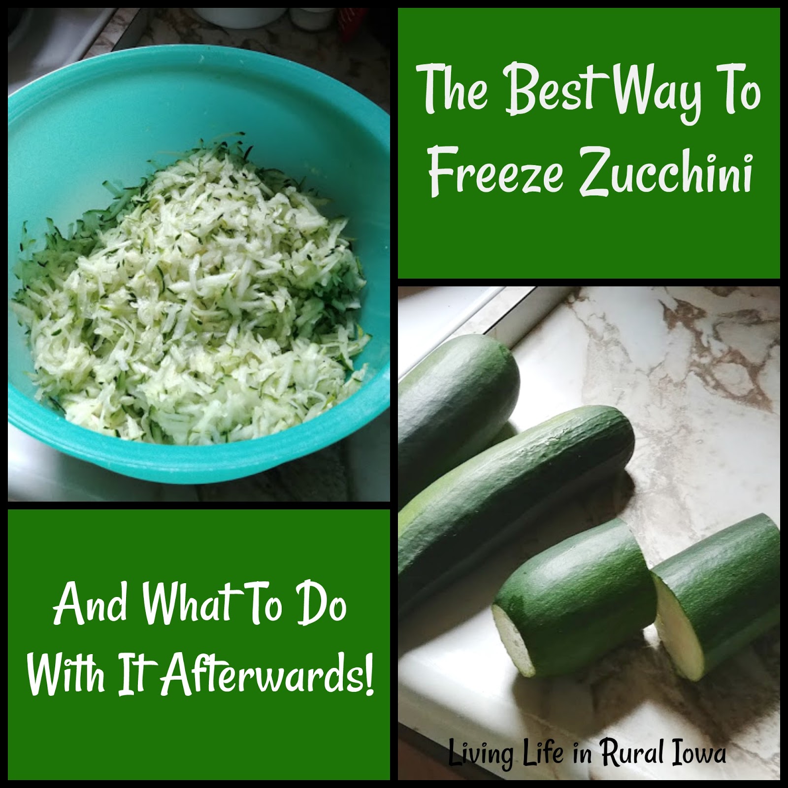 The Best Way To Freeze Zucchini (And What To Do With It Afterwards