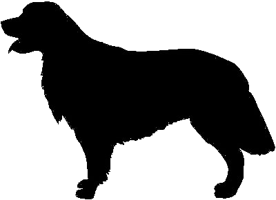 Ración ideal de Perrarina para mi Perro - Veterinario SOS