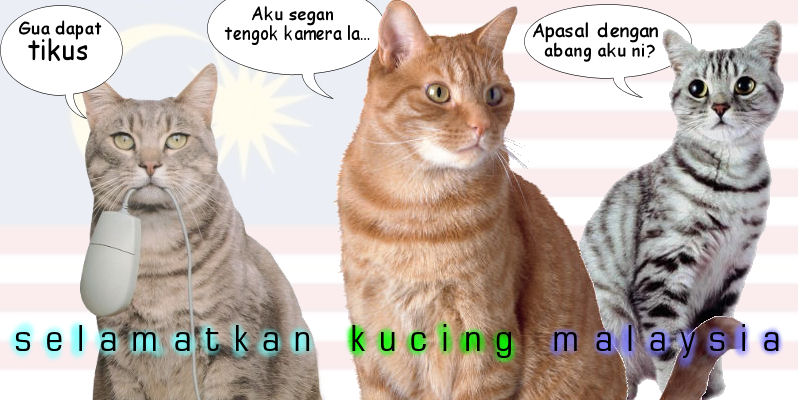Selamatkan Kucing Malaysia