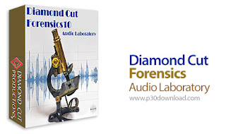 Diamond Cut Forensics10 Audio Laboratory Portable