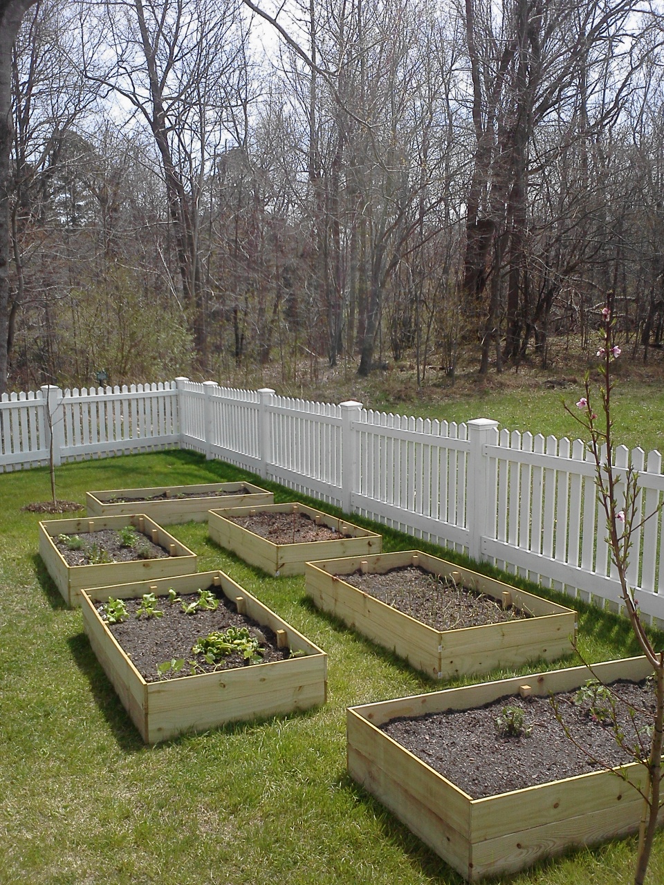 Seaside Interiors Quick and Easy Garden Bed Tutorial