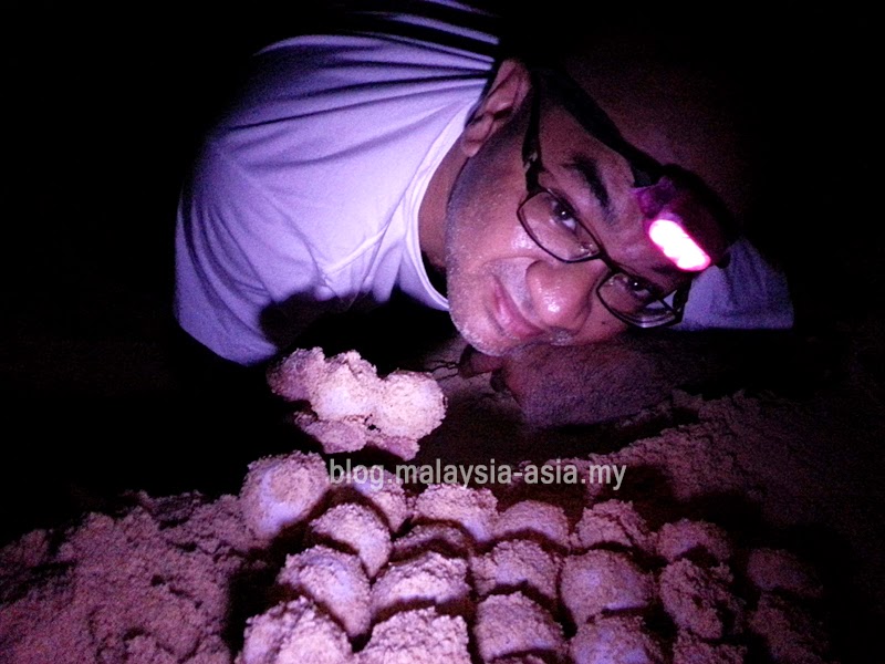 Turtle Conservation in Sarawak Sarawak Turtle Conservation