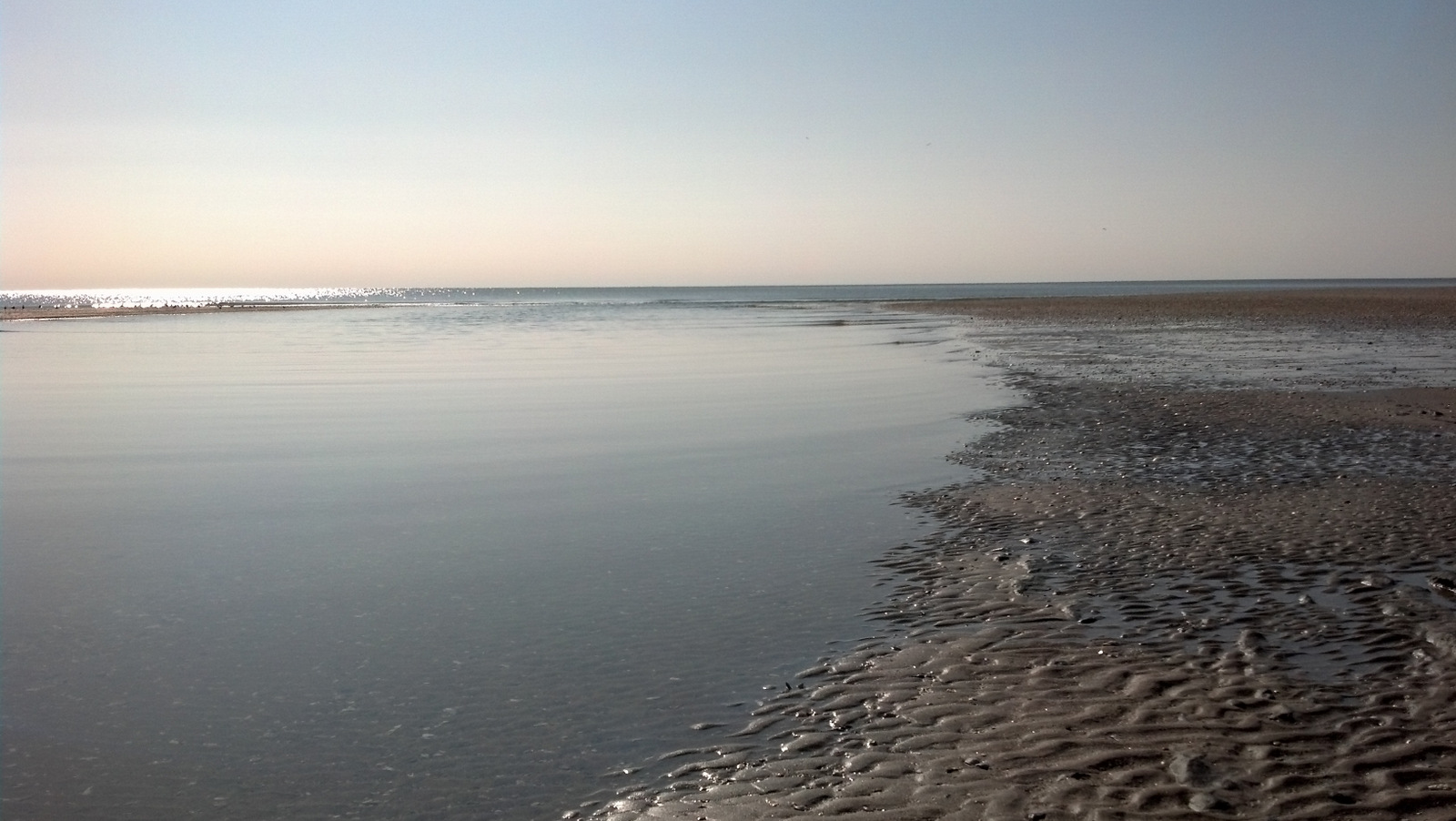 Square Bottom Adventures Edisto Beach Fossils