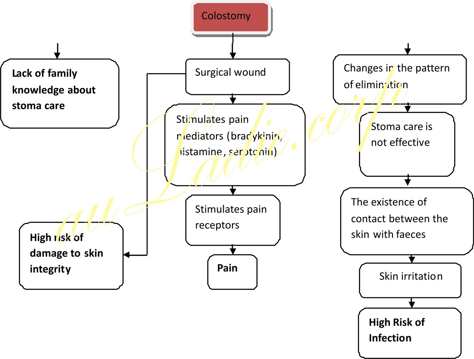 Nursing Path Pathophysiology of Hirschsprung Patofisiologi Hirschsprung