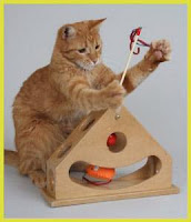 Juegos para gatos DIY