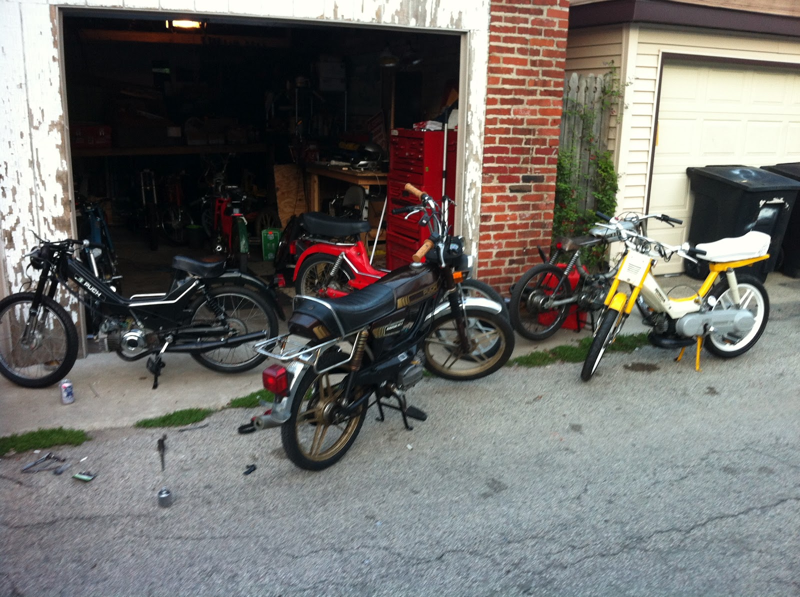 Inside Up Mopeds Moped night plus M.O.P.E.D