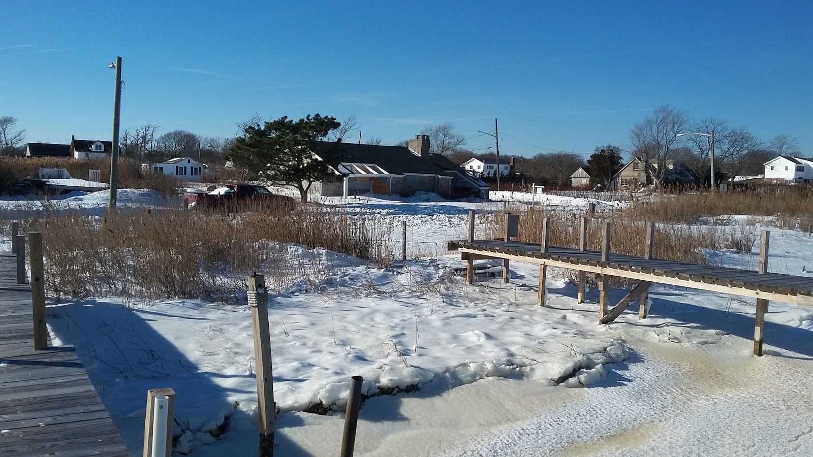 The Natural World of Mastic Beach