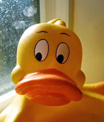 rubber_duck01.jpg