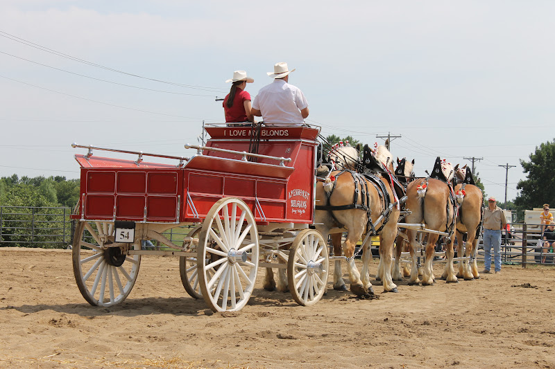 Cornerstone Retreat Murray County Classic Draft Horse Show Slayton MN