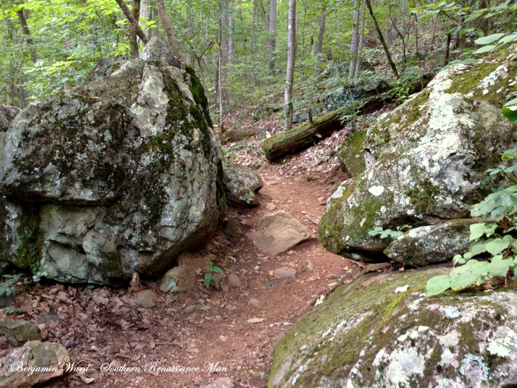 Southern Renaissance Man Fly Fishing North Fork Moormans River Charlottesville Virginia