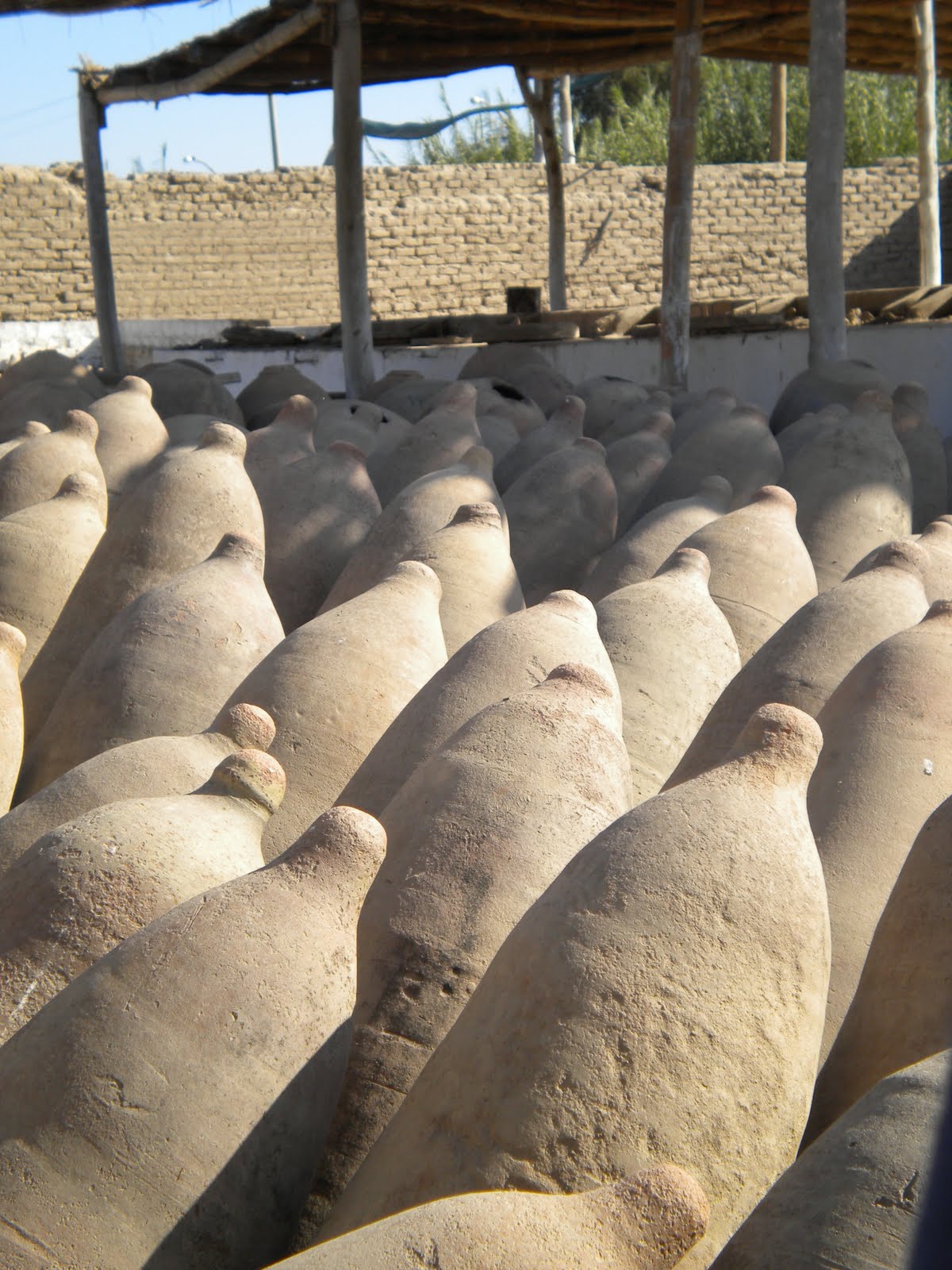 Peru In 6 Weeks: Ica: Islas Ballestas, Sand Buguis y Cuentos de Brujas