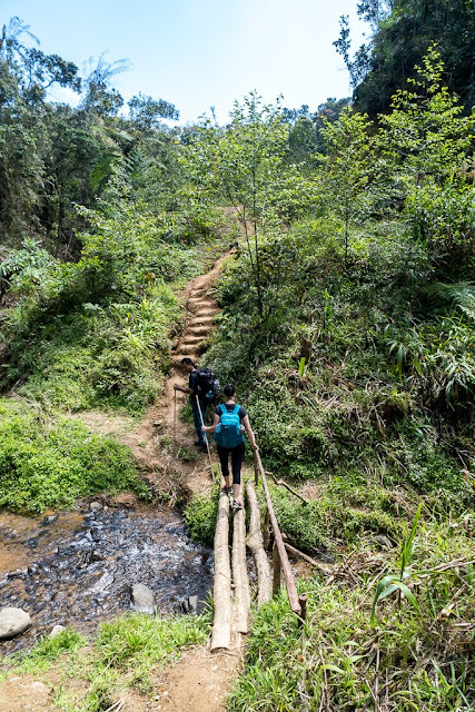 Région de l'Ifugao-Luçon-Philippines