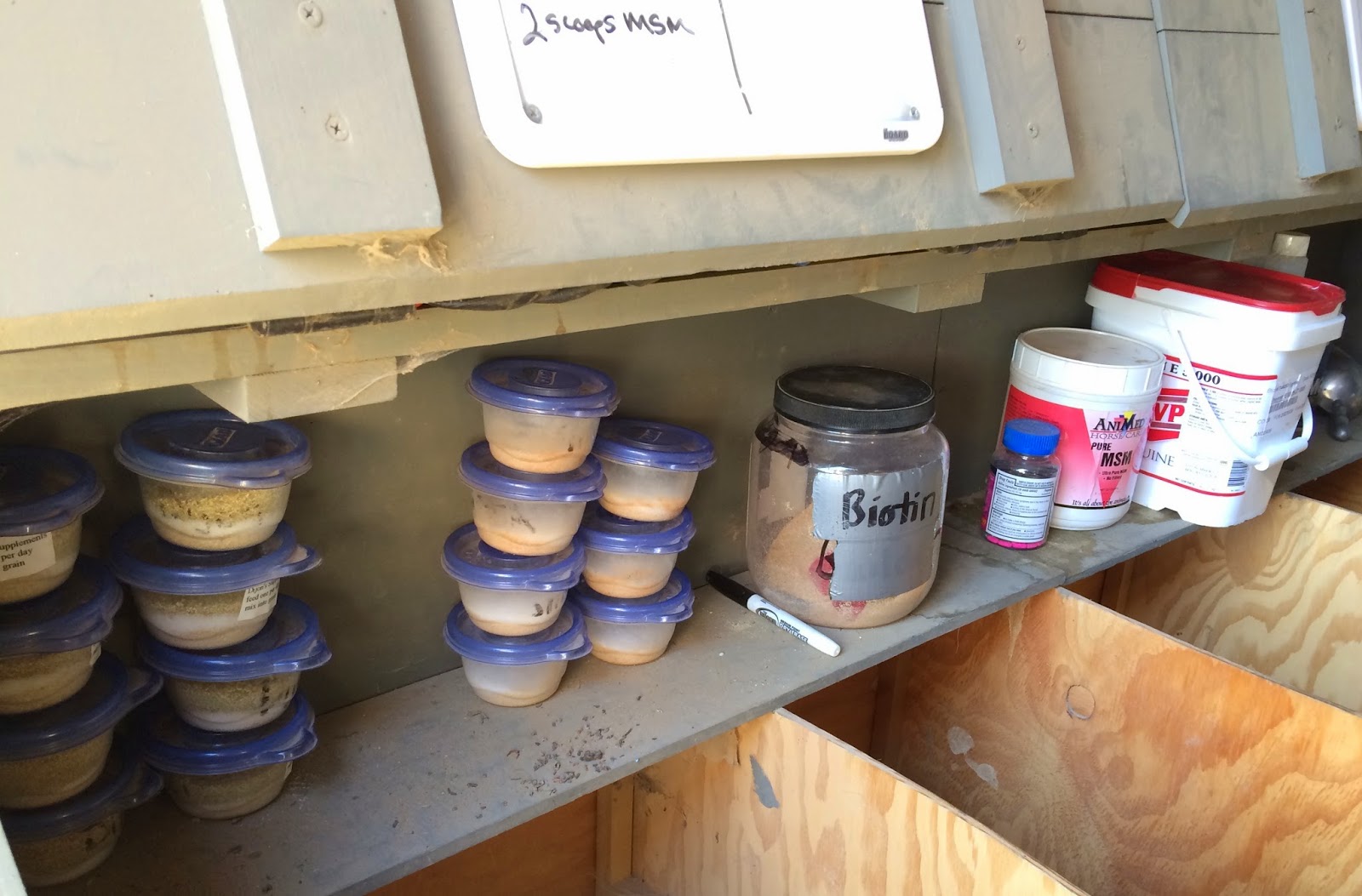 How to Make Your Own Supplement Packs – DIY Horse Ownership