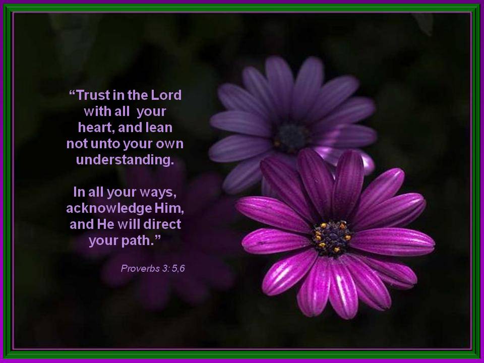 ... Card & Wallpapers Free: Trust in the Lord Proverbs 3:5,6 Wallpaper