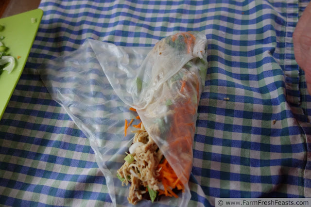 http://www.farmfreshfeasts.com/2013/06/chicken-adobo-summer-rolls-repurposed.html