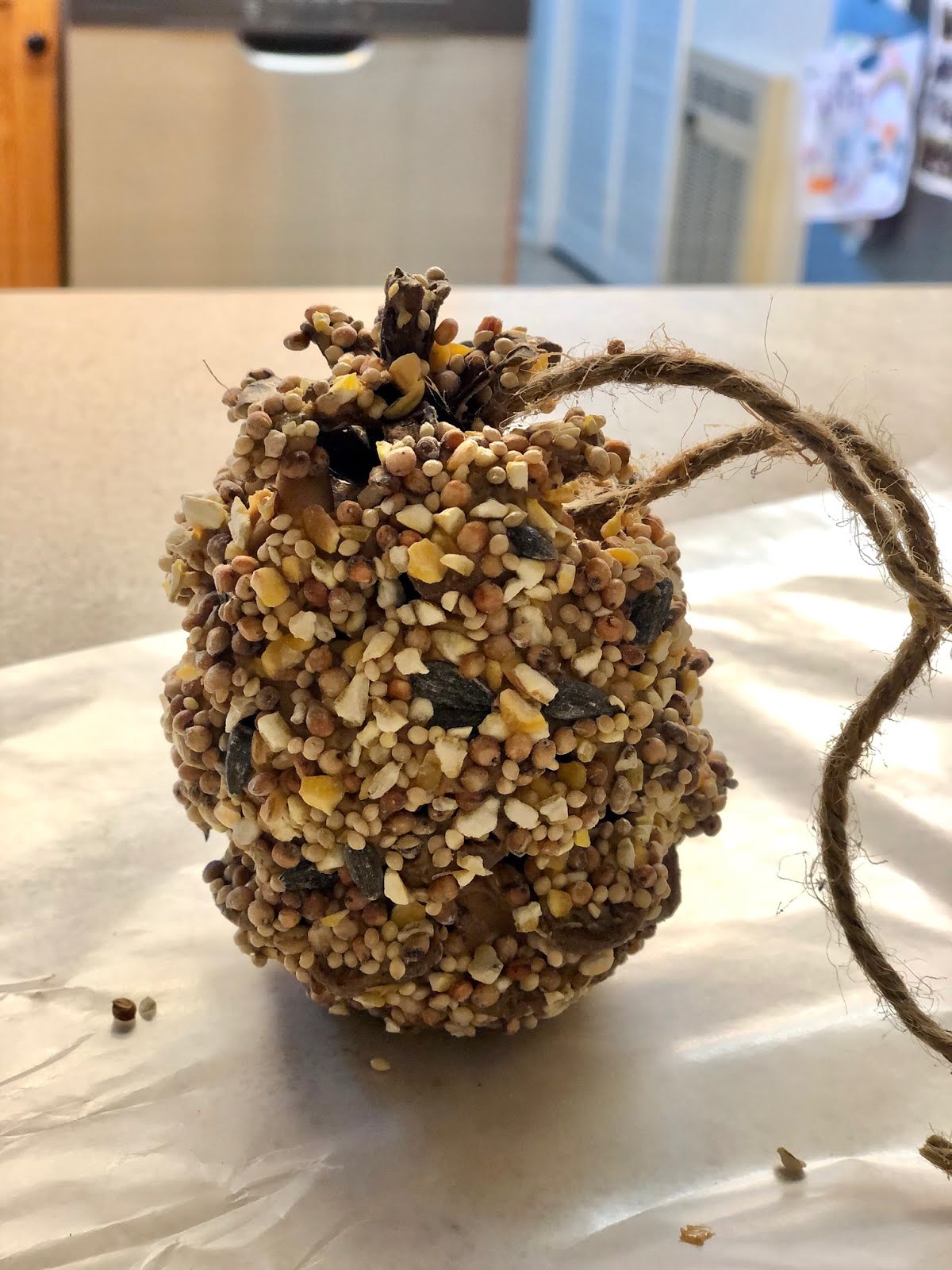 Roots Forest School DIY Pinecone Bird Feeder