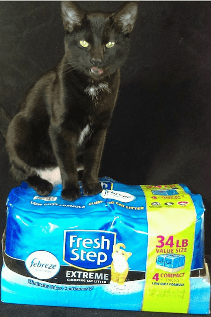 5 Reasons Why I Chose Fresh Step® Compact Packs - Amy & Aron's