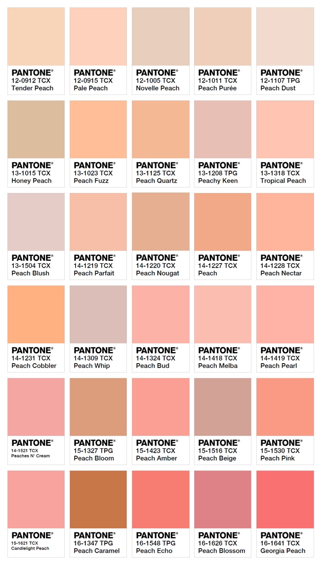 Peach Color Code / Coral Meaning, Combinations and Hex Code - Canva