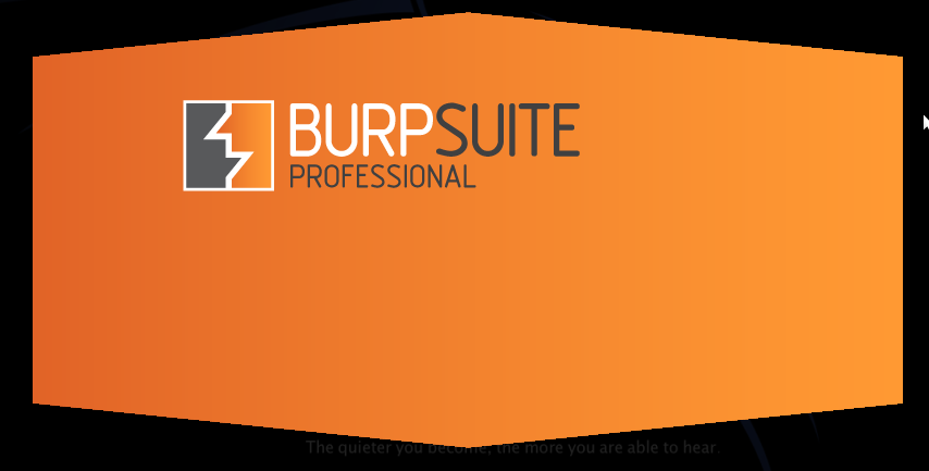 burp suite windows