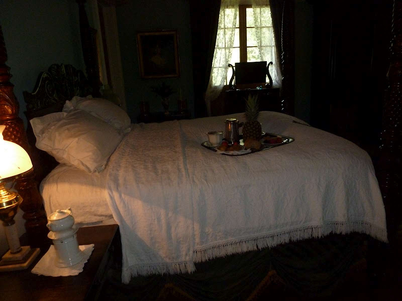 Driving me ... USA - Blogs de USA - 3: Oak Alley Plantation (10)