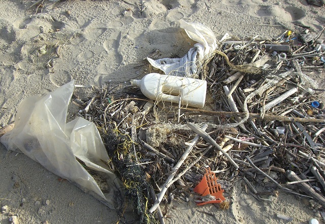 Plásticos en la playa