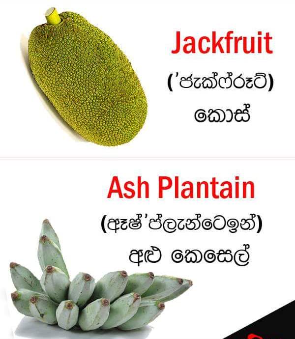 Vegetable names in English Sandy Foods Sri Lanka