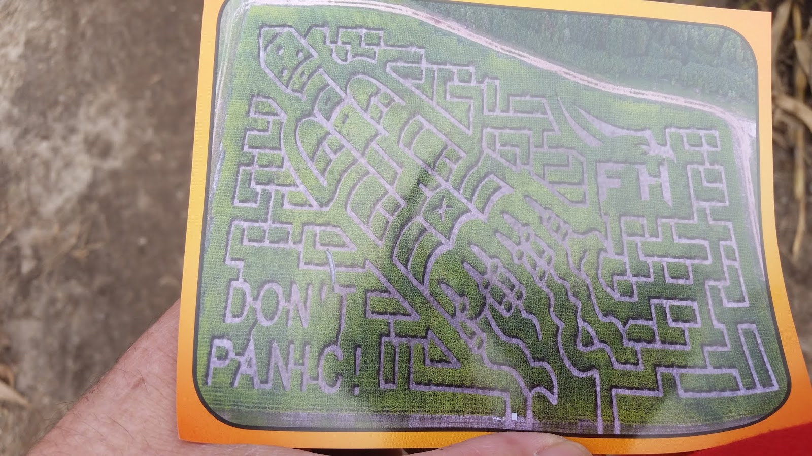 Cranberry County A Visit To Sauchuk Farm In Plympton