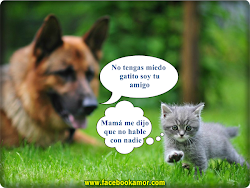 divertidas imagenes gratis bonitas amor graciosas compartir chistosas cosas dia imagen jeje etiquetas frases tu amistad mas signo segun llaman