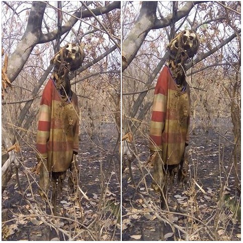 Woman Missing For Months Found Dead With Corpse Hanging On A Tree