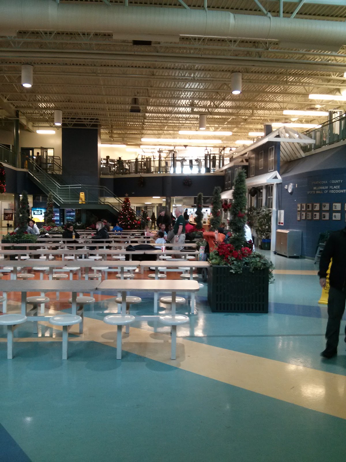 Family Fun Adventures in Edmonton Family Swim Time at Millenium Place