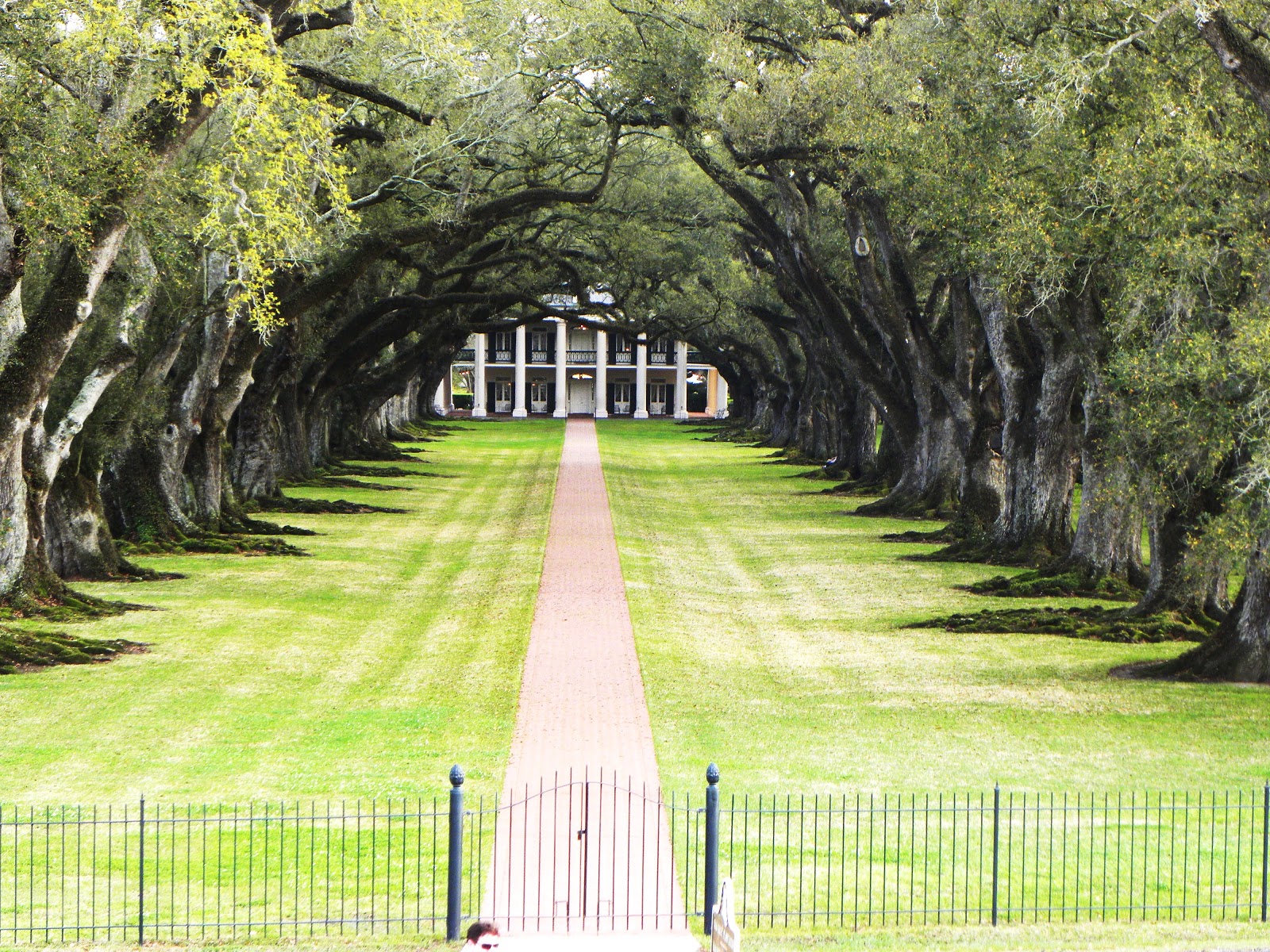 2015 TRAVELS OAK ALLEY PLANTATION ON THE GREAT RIVER LOUISIANA ROAD