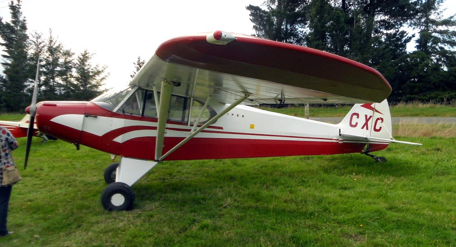 NZ Civil Aircraft Darfield Wings and Wheels.