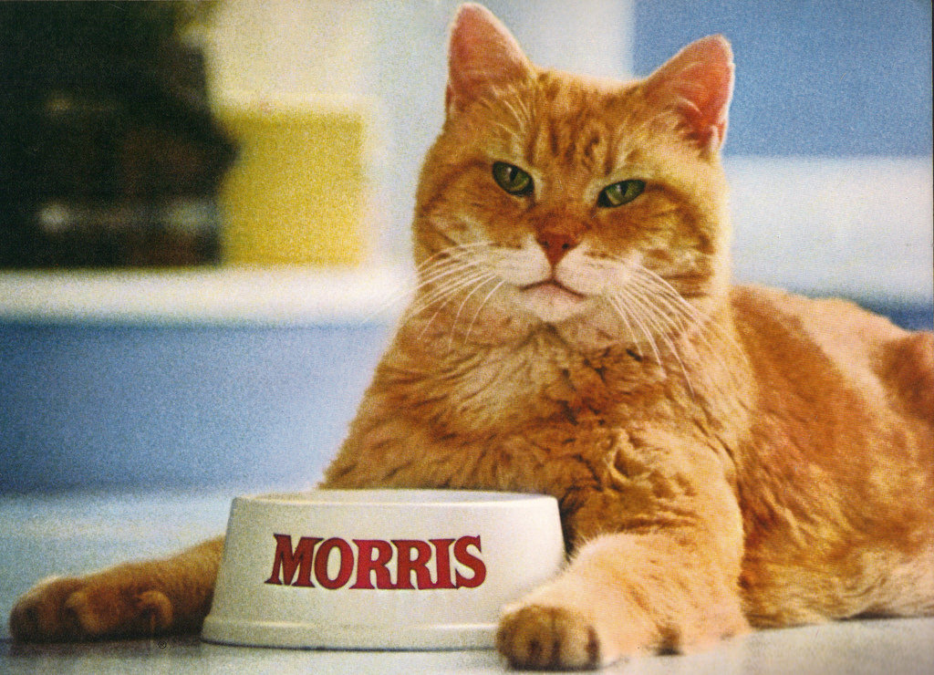Morris Cat Food Commercial Morris Cat Food Commercial