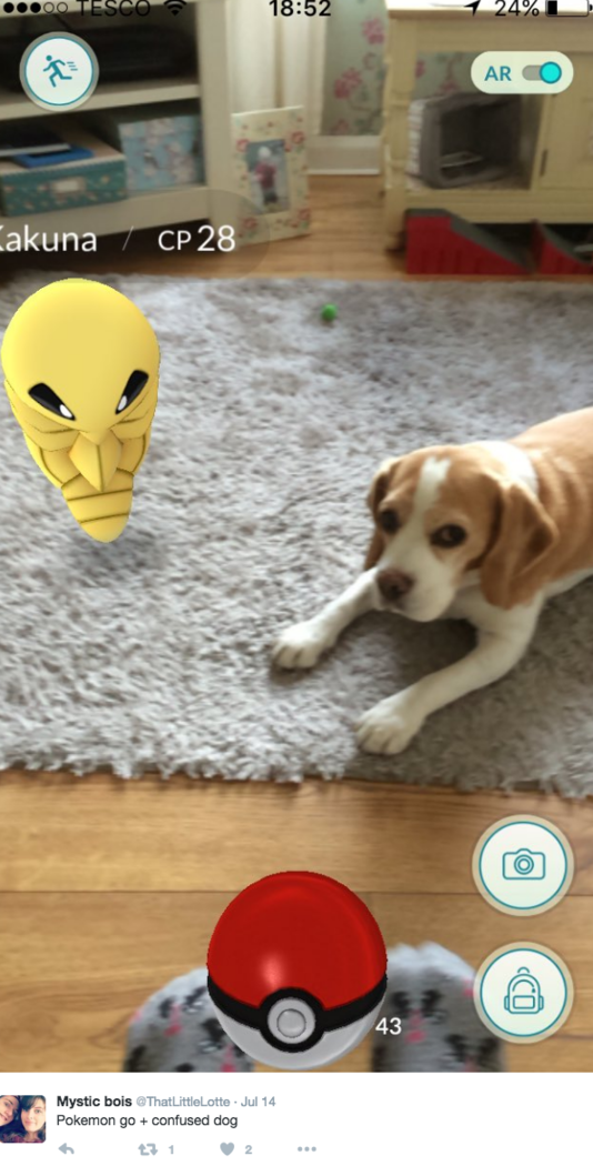 pokemon go funniest screenshot with animal