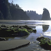 Olympic National Park - Images n Detail