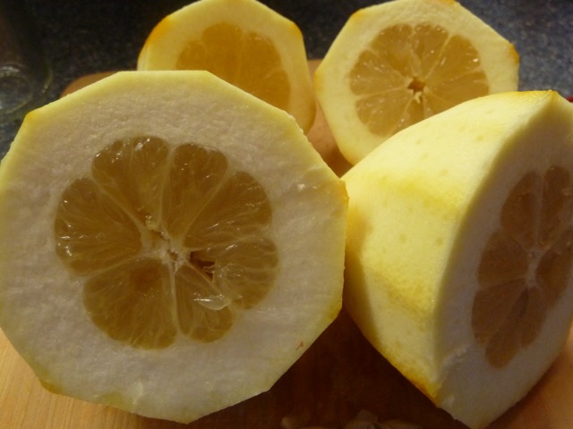 Hexhex-design: Kennt Ihr Esszitronen?