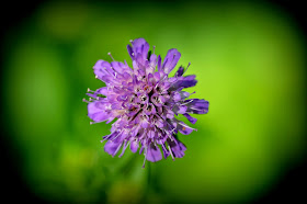 خلفيات جميلة عالية الدقة لللكمبيوتر