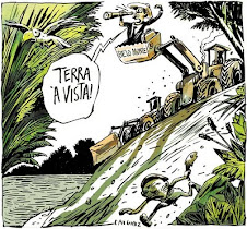 Belo Monte é pior do que estava previsto