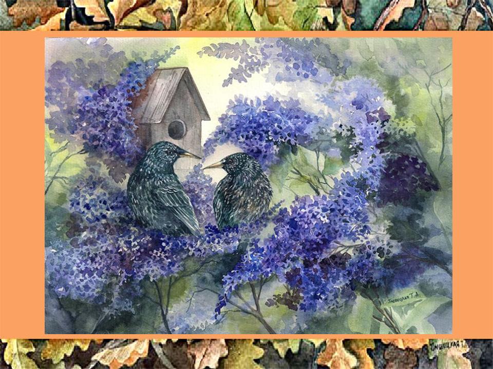 заболоцкий скворец. птицы живущие в скворечниках. заболоцкий стихи. скворец живопись. заболоцкий скворец.