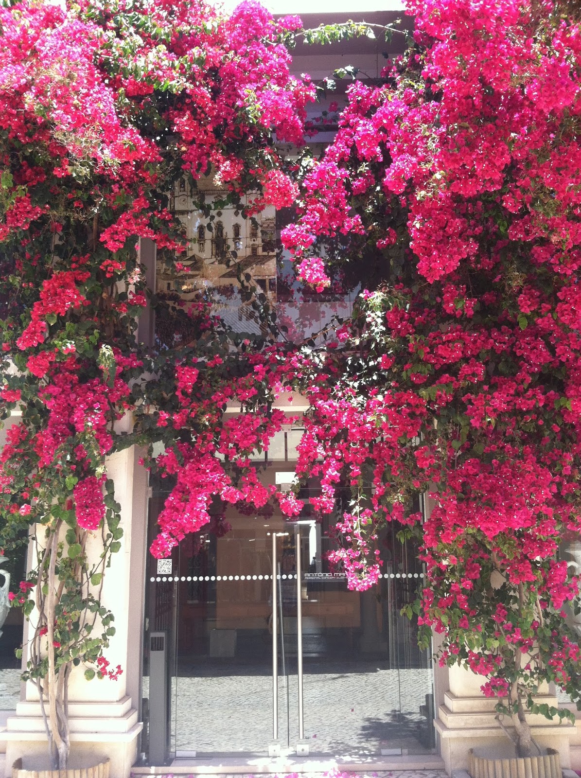 WHAT UP, SWAGS?! Photos of Faro, Portugal