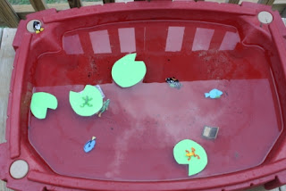 water table frog pond