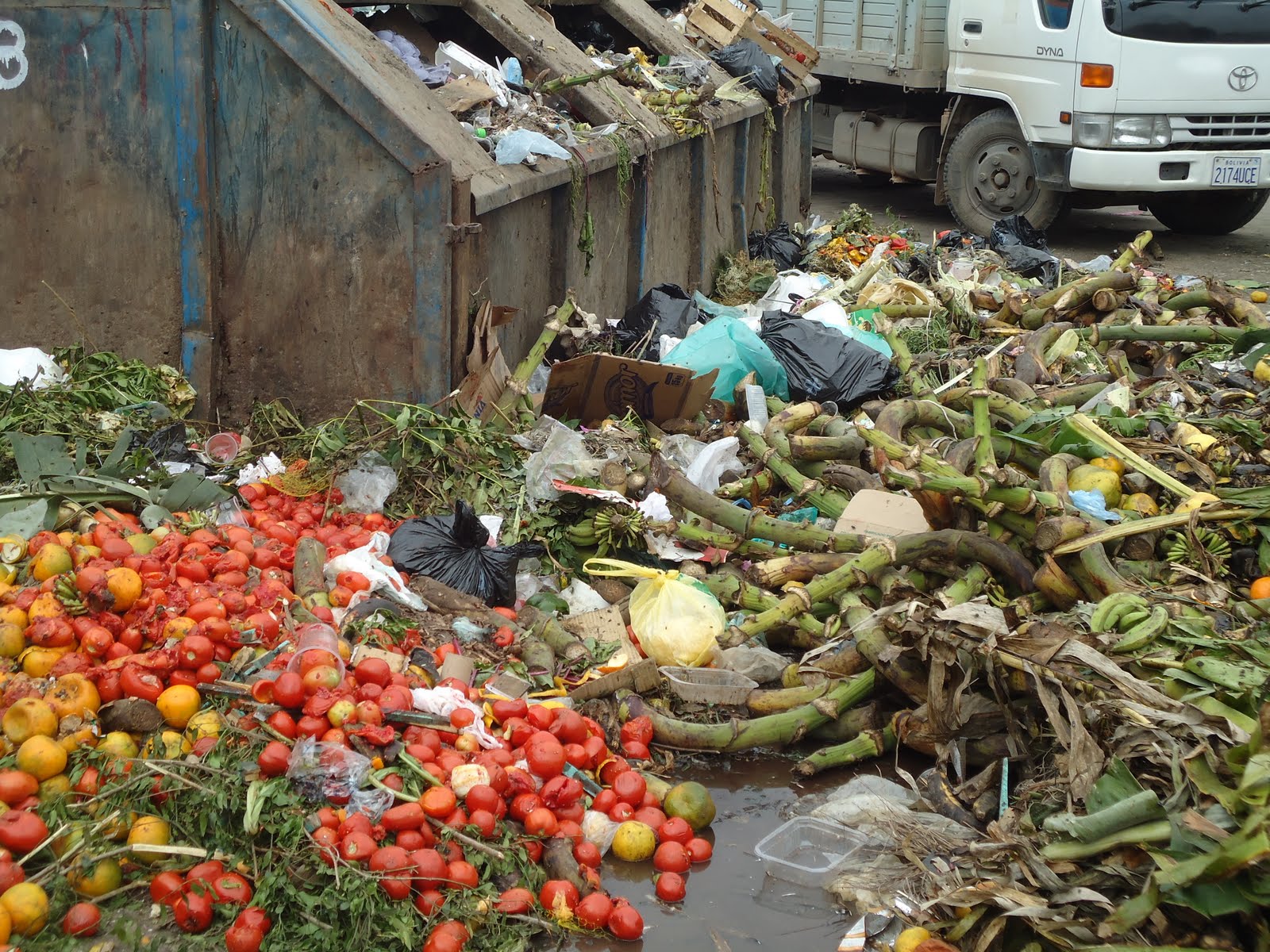 la basura en santa cruz