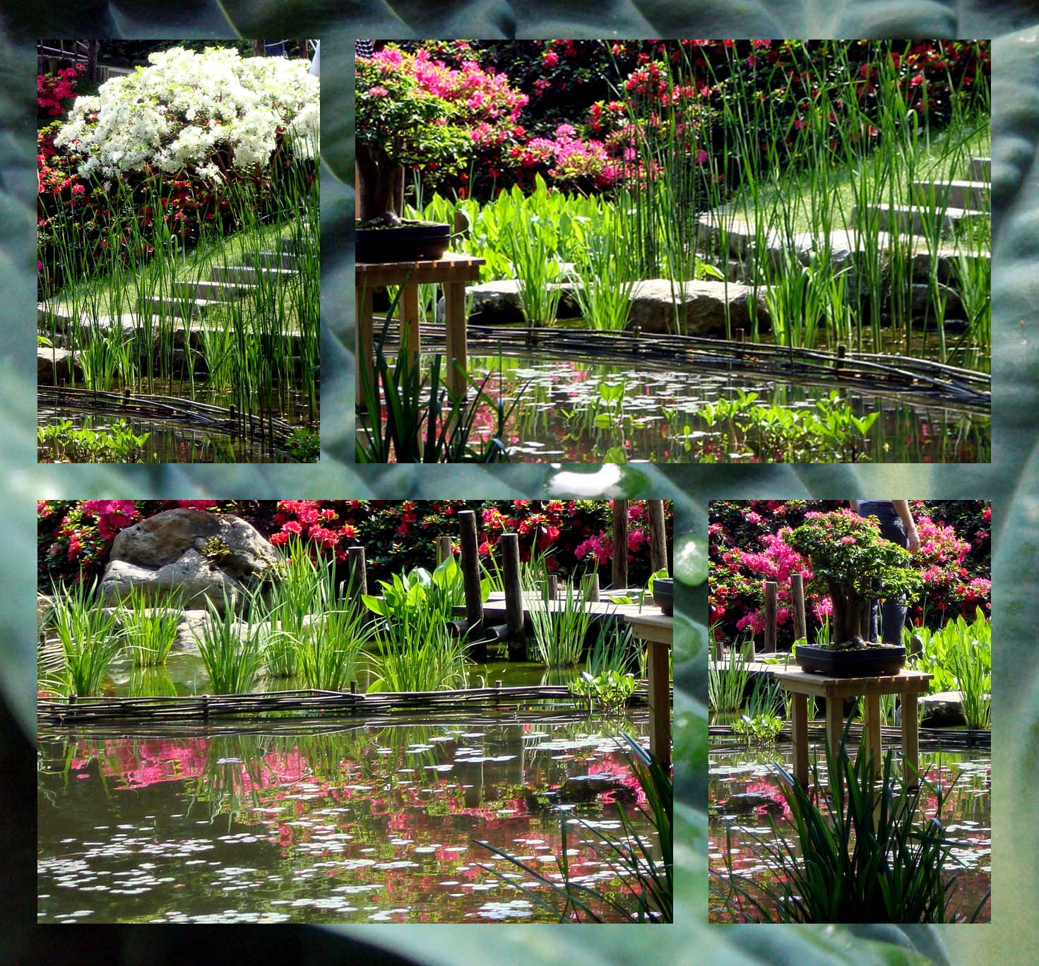 Bon sens et Déraison LE JARDIN D'UN MECENE PACIFISTE