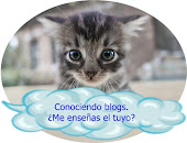 Conociendo blogs