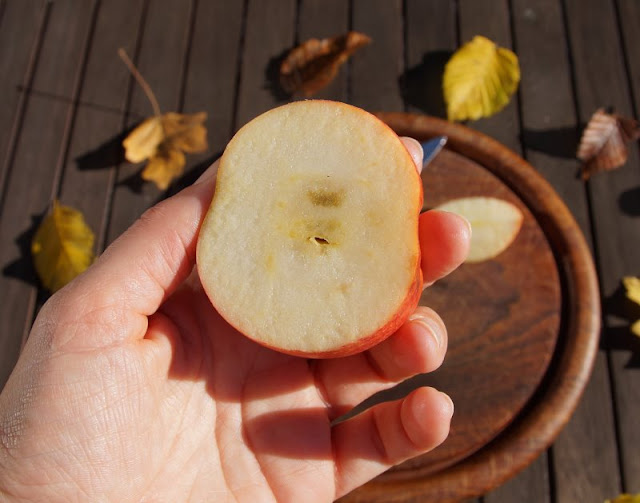 Äpfel pflücken auf der Streuobstwiese. Mit Ideen zur Kostprobe und Verwertung der geernteten Äpfel!