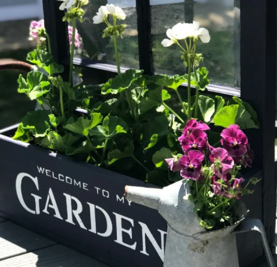 Window Flower Box Garden Planter