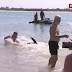 Τράβηξε καρχαρία από την ουρά για να σώσει τα παιδιά- Βίντεο